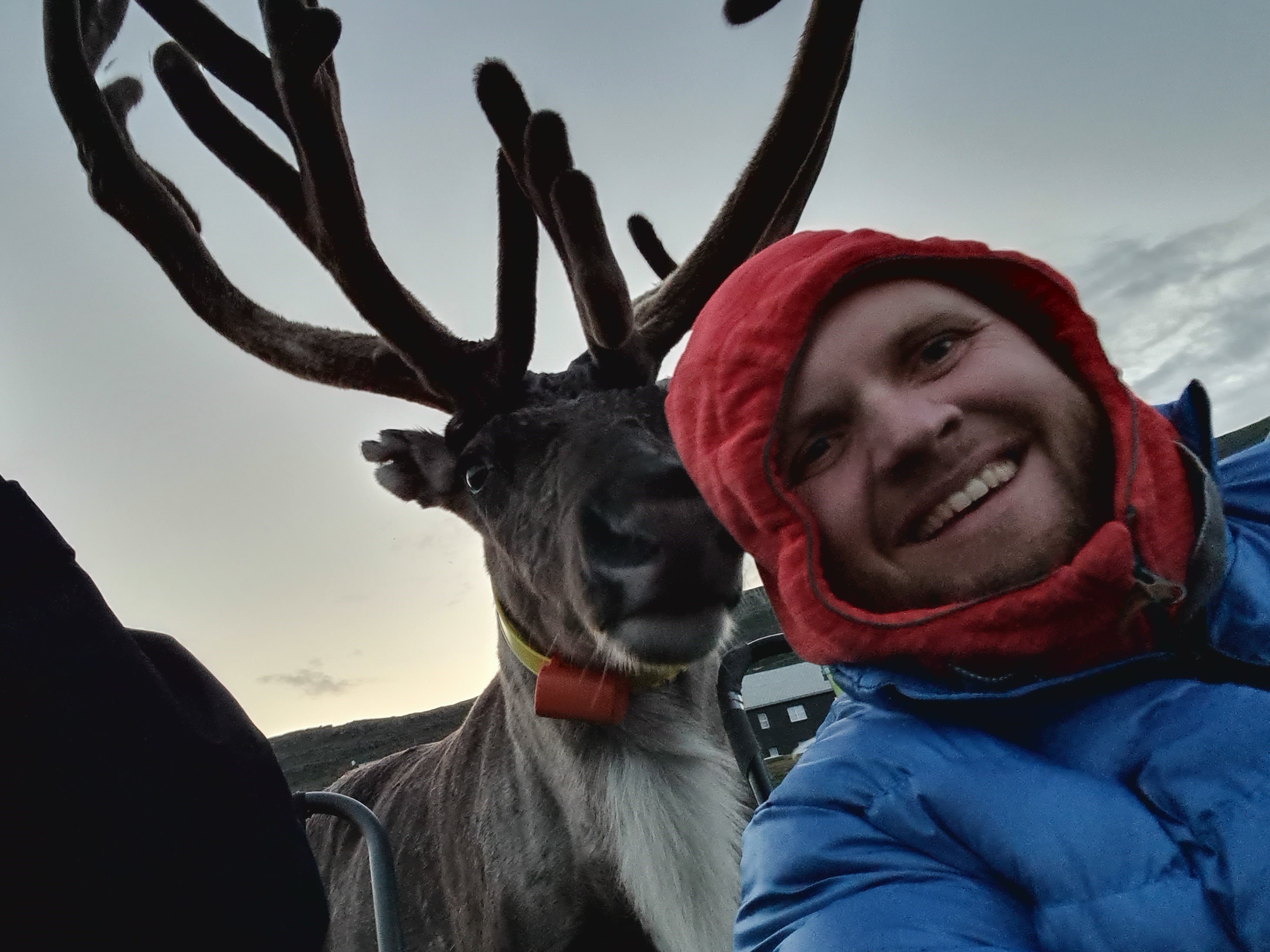 Bjarne with a reindeer